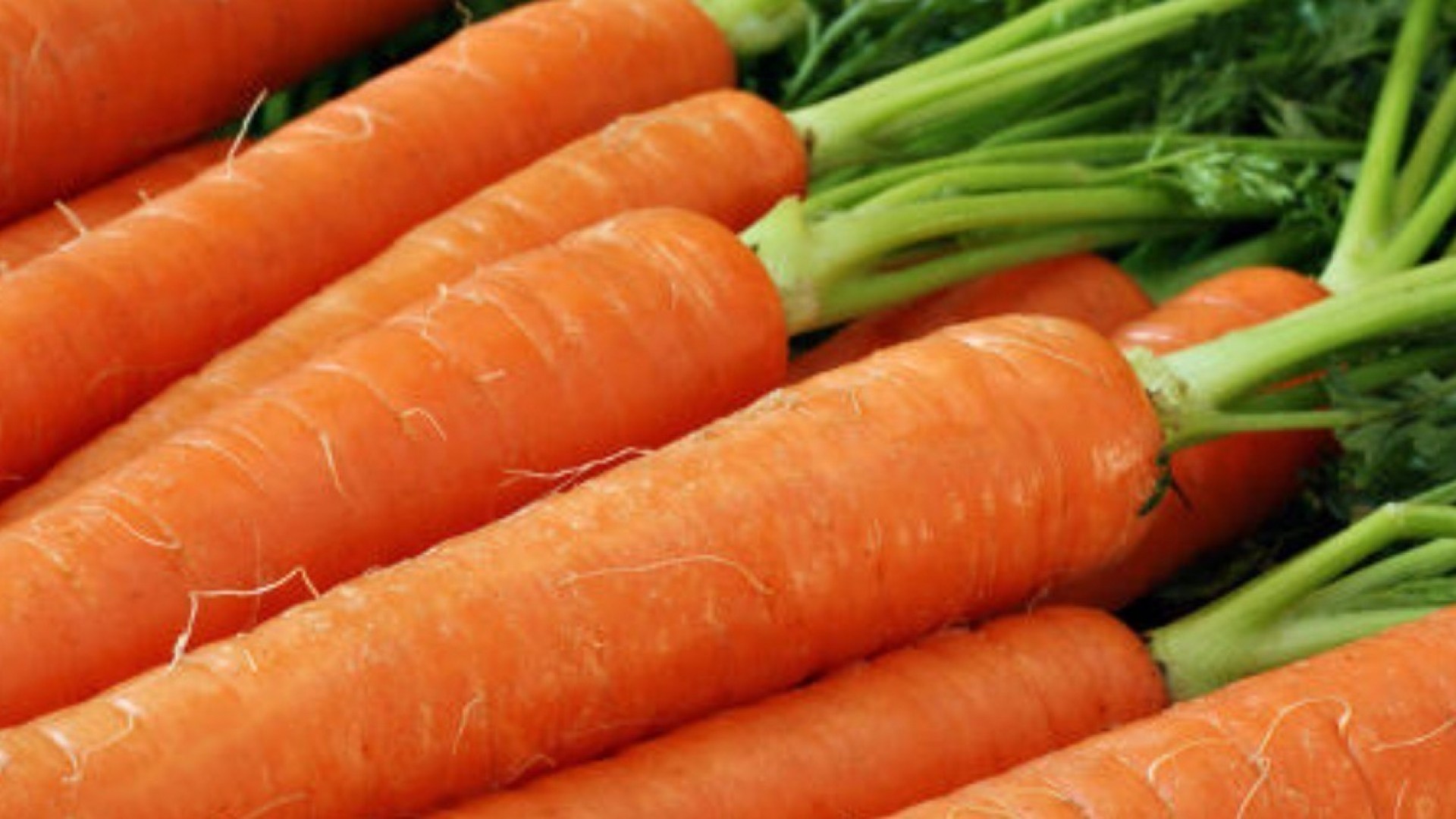 5 блюд из моркови, которые стоит попробовать 