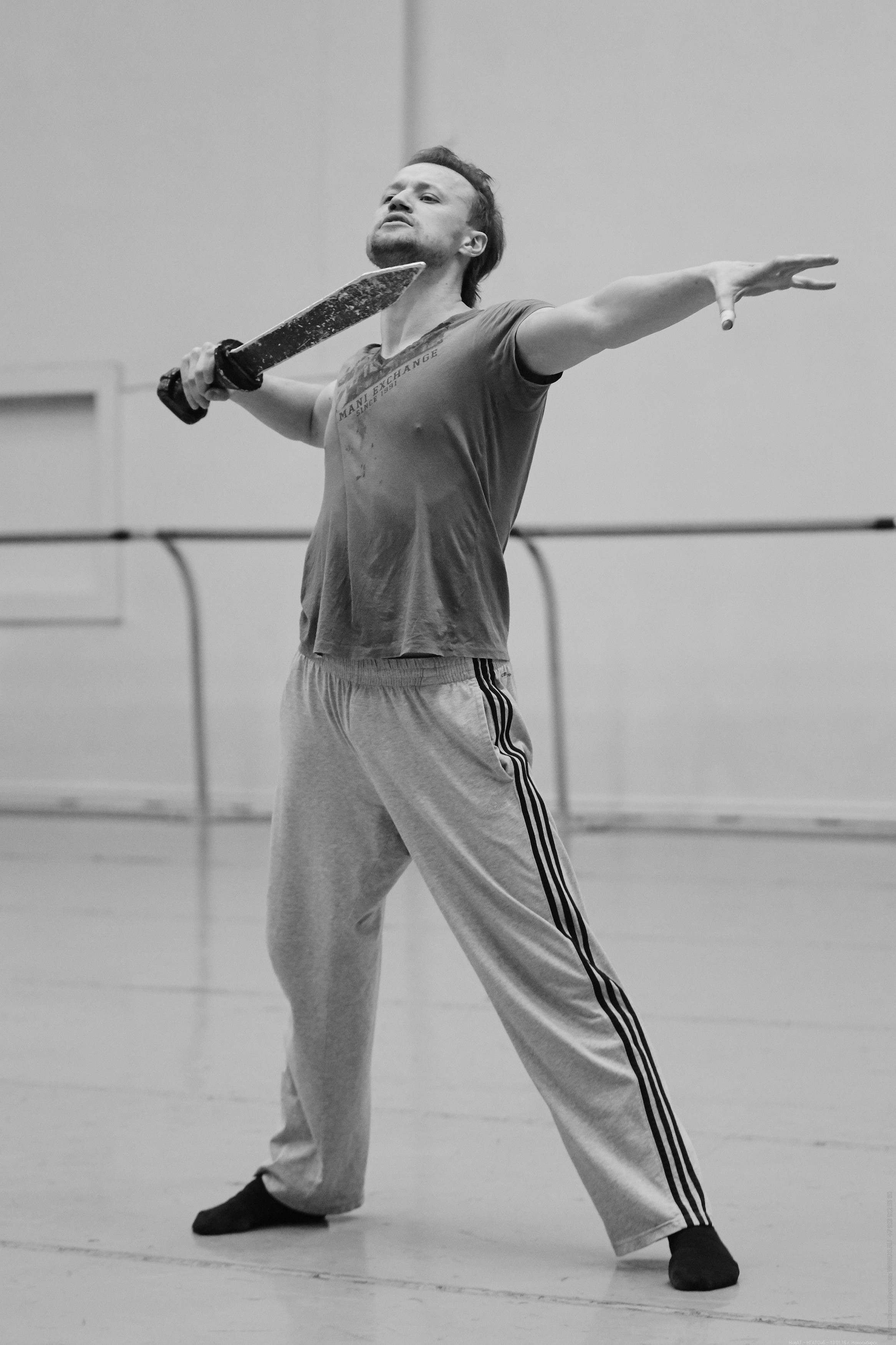 Денис Матвиенко, балет