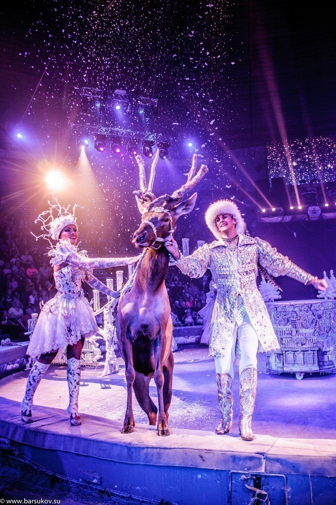 Шоу Гии Эрадзе «Баронеты»: удивительные номера с животными и потрясающий балет! 
