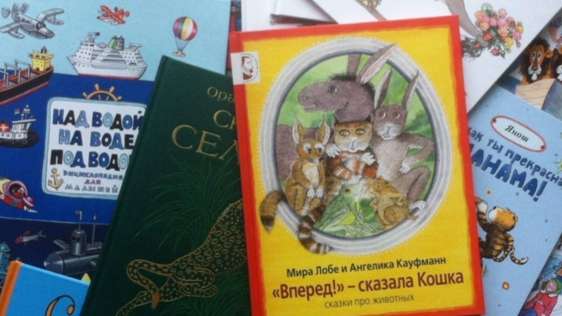 Мария Мелик-Пашаева: «Многие хорошие старые книги, которых было не найти у букинистов, мы уже переиздали!»