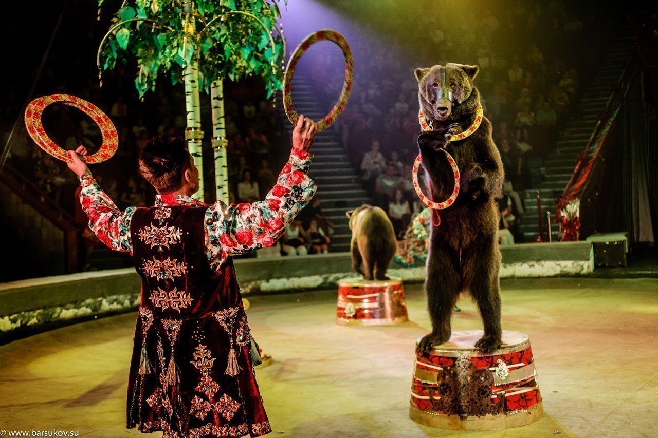 Шоу Гии Эрадзе «Баронеты»: удивительные номера с животными и потрясающий балет! 